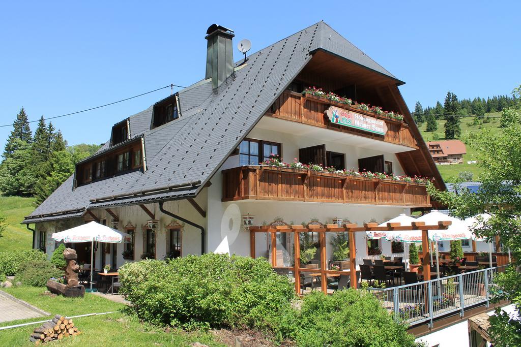 Hotel & Restaurant Gruener Baum - Die Gruene Oase Am Feldberg Feldberg  Exteriör bild