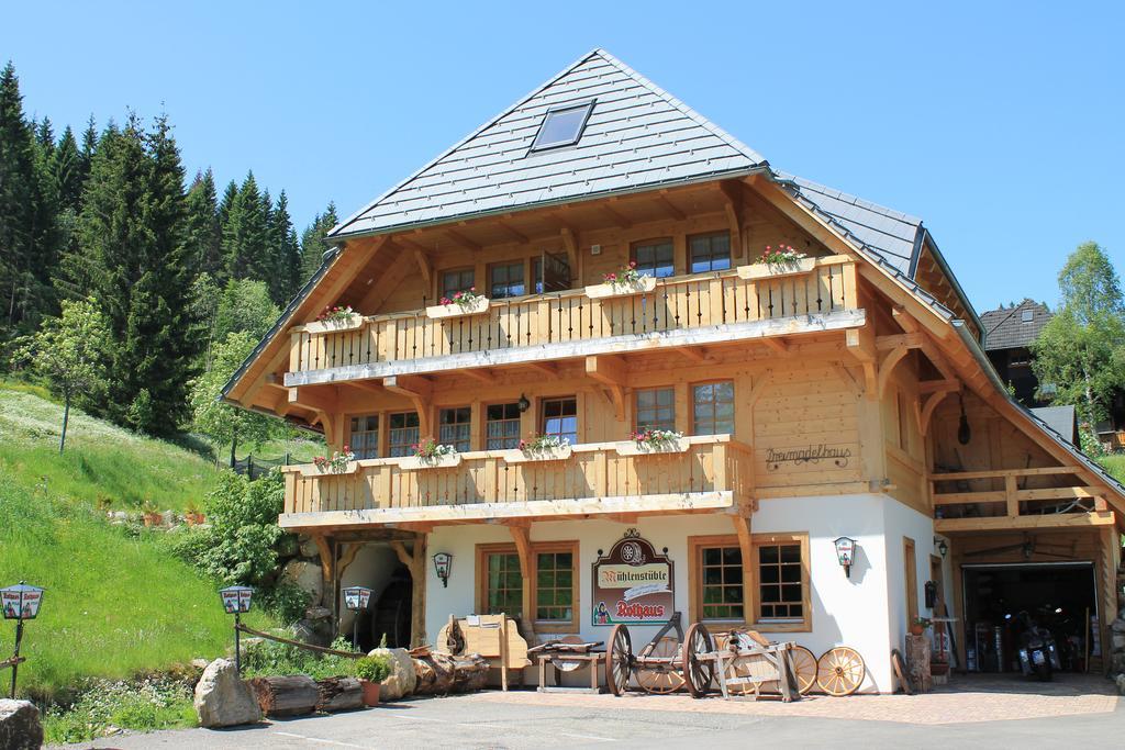 Hotel & Restaurant Gruener Baum - Die Gruene Oase Am Feldberg Feldberg  Exteriör bild