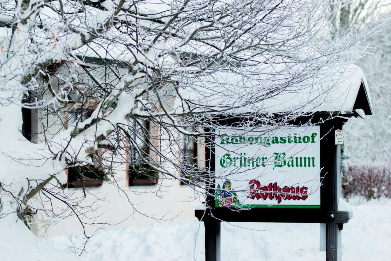 Hotel & Restaurant Gruener Baum - Die Gruene Oase Am Feldberg Feldberg  Exteriör bild